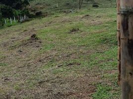  Land for sale in Cali, Valle Del Cauca, Cali