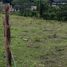  Land for sale in Cali, Valle Del Cauca, Cali