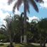  Grundstück zu verkaufen in Cancun, Quintana Roo, Cancun