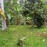  Land for sale in Penebel, Tabanan, Penebel