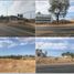  Land for sale in Asembagus, East Jawa, Asembagus, Situbondo