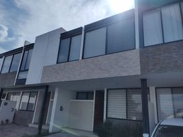 Condominium 3 chambre à vendre à Zapopan, Jalisco, Zapopan