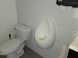 230 m2 Office for rent in Veracruz, Veracruz, Veracruz