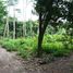  Land for sale in Minggir, Sleman, Minggir