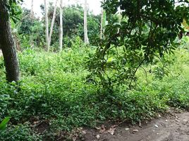  Land for sale in Minggir, Sleman, Minggir