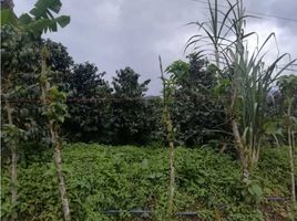  Grundstück zu verkaufen in Santa Rosa De Cabal, Risaralda, Santa Rosa De Cabal, Risaralda