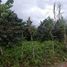  Grundstück zu verkaufen in Santa Rosa De Cabal, Risaralda, Santa Rosa De Cabal, Risaralda
