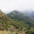  Terrain for sale in La Vega, Cundinamarca, La Vega