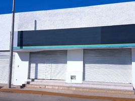 600 m² Office for rent in Chiapas, Tuxtla Gutierrez, Chiapas
