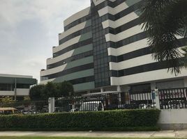 55 m² Office for rent in Ecuador, Daule, Daule, Guayas, Ecuador