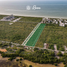  Land for sale in Telchac Puerto, Yucatan, Telchac Puerto