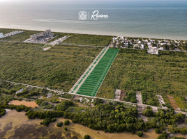 Terrain à vendre à Telchac Puerto, Yucatan, Telchac Puerto