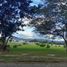  Land for sale in Tumbaco, Quito, Tumbaco