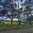  Land for sale in Tumbaco, Quito, Tumbaco