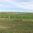  Land for sale in Quarai, Rio Grande do Sul, Quarai, Quarai