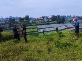  Tanah for sale in Ngamprah, Bandung, Ngamprah