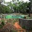  Land for sale in Cunduacan, Tabasco, Cunduacan