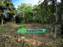  Land for sale in Cunduacan, Tabasco, Cunduacan