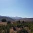  Terreno (Parcela) en venta en Chile, Caldera, Copiapó, Atacama, Chile
