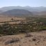  Terreno (Parcela) en venta en Chile, Caldera, Copiapó, Atacama, Chile