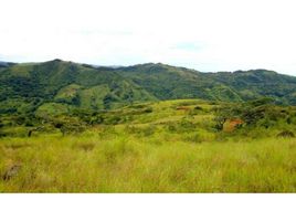  Land for sale in La Ermita, San Carlos, La Ermita