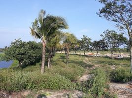  Land for sale in O Cho Dua, Hanoi, O Cho Dua, Dong Da, Hanoi