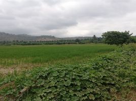  Grundstück zu verkaufen in Sucre, Manabi, Charapoto