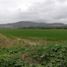  Land for sale in Sucre, Manabi, Charapoto, Sucre