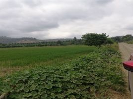  Grundstück zu verkaufen in Sucre, Manabi, Charapoto