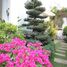 4 Bedroom Villa for rent in An Phu, Ho Chi Minh City, An Phu, District 2