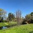  Terreno (Parcela) en venta en Maipo, Santiago, Paine, Maipo