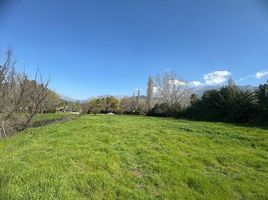  Terreno (Parcela) en venta en Maipo, Santiago, Paine, Maipo