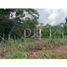  Land for sale in Panama City Panama, Chilibre, Panama City, Panama, Panama