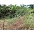  Land for sale in Panama City Panama, Chilibre, Panama City, Panama, Panama