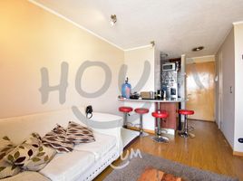 1 Bedroom Apartment for rent in Cordillera, Santiago, San Jode De Maipo, Cordillera