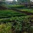  Terreno (Parcela) en venta en Pondok Aren, Banten, Pondok Aren