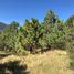  Land for sale in Arteaga, Coahuila, Arteaga, Coahuila