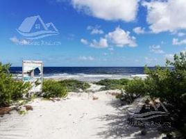  Grundstück zu verkaufen in Othon P Blanco, Quintana Roo, Othon P Blanco