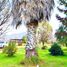  Terreno (Parcela) en venta en Maipo, Santiago, San Bernardo, Maipo