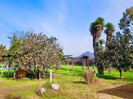 Terreno (Parcela) en venta en Maipo, Santiago, San Bernardo, Maipo