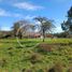  Terreno (Parcela) en venta en Chile, Mafil, Valdivia, Los Ríos, Chile