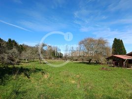  Terreno (Parcela) en venta en Chile, Mafil, Valdivia, Los Ríos, Chile
