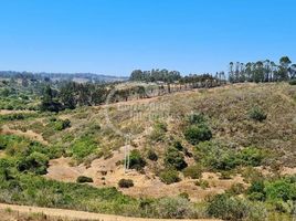  Terreno (Parcela) en venta en Chile, El Quisco, San Antonio, Valparaíso, Chile