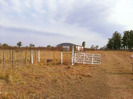  Land for sale in Primero De Mayo, Chaco, Primero De Mayo
