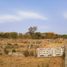  Land for sale in Primero De Mayo, Chaco, Primero De Mayo