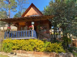 在墨西哥出租的 屋, Valle De Bravo, Mexico, 墨西哥
