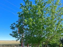  Terreno (Parcela) en venta en Zapala, Neuquen, Zapala