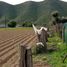 Studio Villa for sale in Ensenada, Baja California, Ensenada, Baja California
