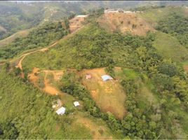  Land for sale in Jamundi, Valle Del Cauca, Jamundi