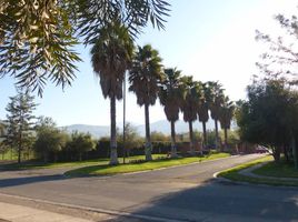  Terreno (Parcela) en venta en Santiago, Santiago, Santiago, Santiago